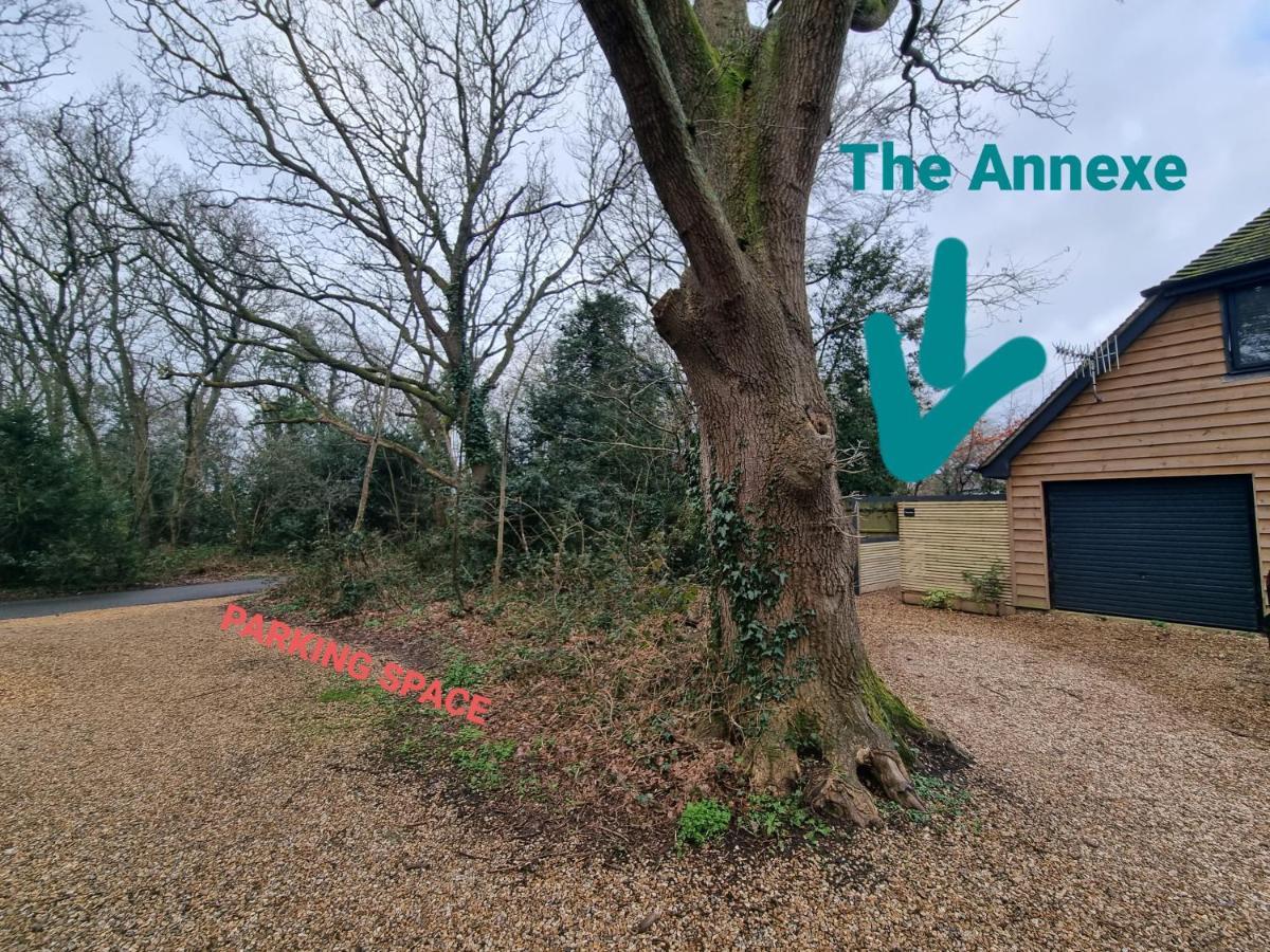 Ferienwohnung The Annexe - Woodland Views And Close To Beach! Barton on Sea Exterior foto